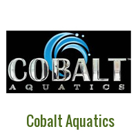 Cobalt Aquatics