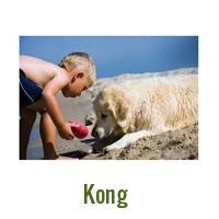 Kong